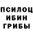 Псилоцибиновые грибы Cubensis f0reach