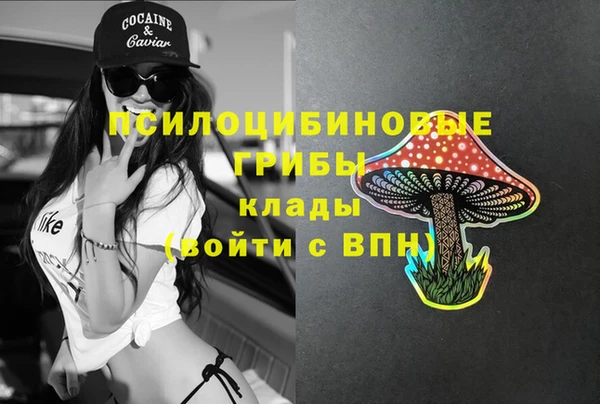 наркотики Новодвинск