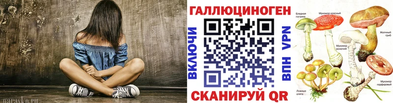 Псилоцибиновые грибы GOLDEN TEACHER  дарк нет официальный сайт  Кашин  цены наркотик 