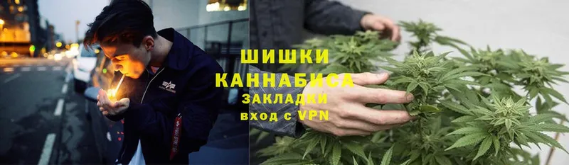 mega как зайти  где найти наркотики  Кашин  Бошки марихуана Ganja 